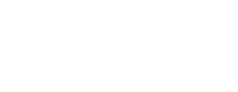 BRI Life